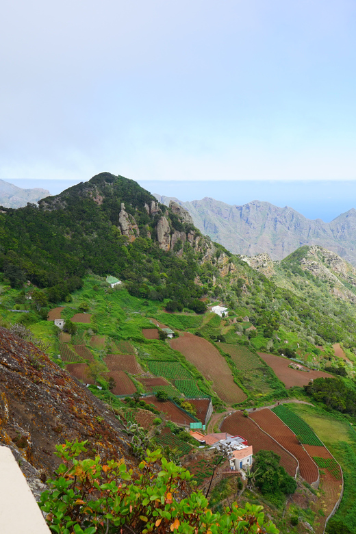 Tenerife: La Laguna & Anaga hike - La Laguna offers history, but only in a short visit