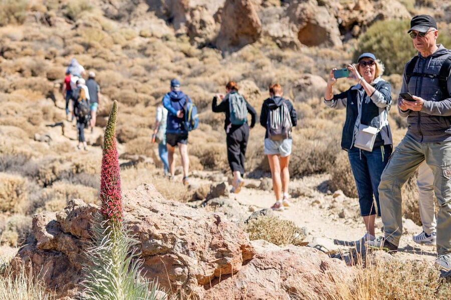 Tenerife : Teide Hiking - Who should book the Teide hike