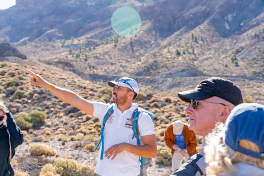 Tenerife : Teide Hiking - Plants, animals, and the high mountain setting