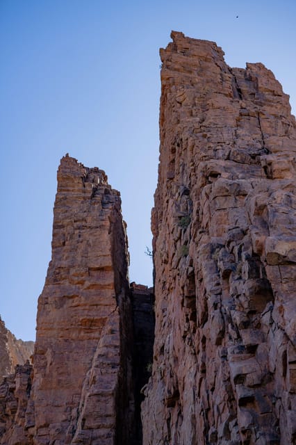 Tenerife : Teide Hiking - What the guide adds to the outing