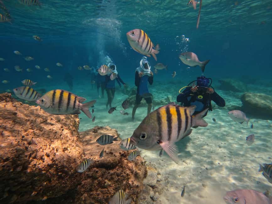 Tenerife: Underwater Walk - Sea Trek Experience - Key points to know before you book