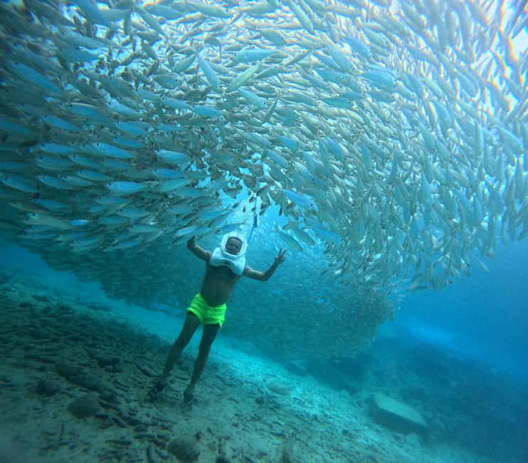 Tenerife: Underwater Walk - Sea Trek Experience - The eight-minute walk to the shore