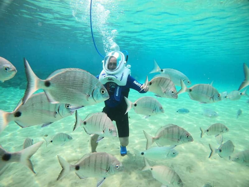 Tenerife: Underwater Walk - Sea Trek Experience - Twenty-five minutes among fish and volcanic rock