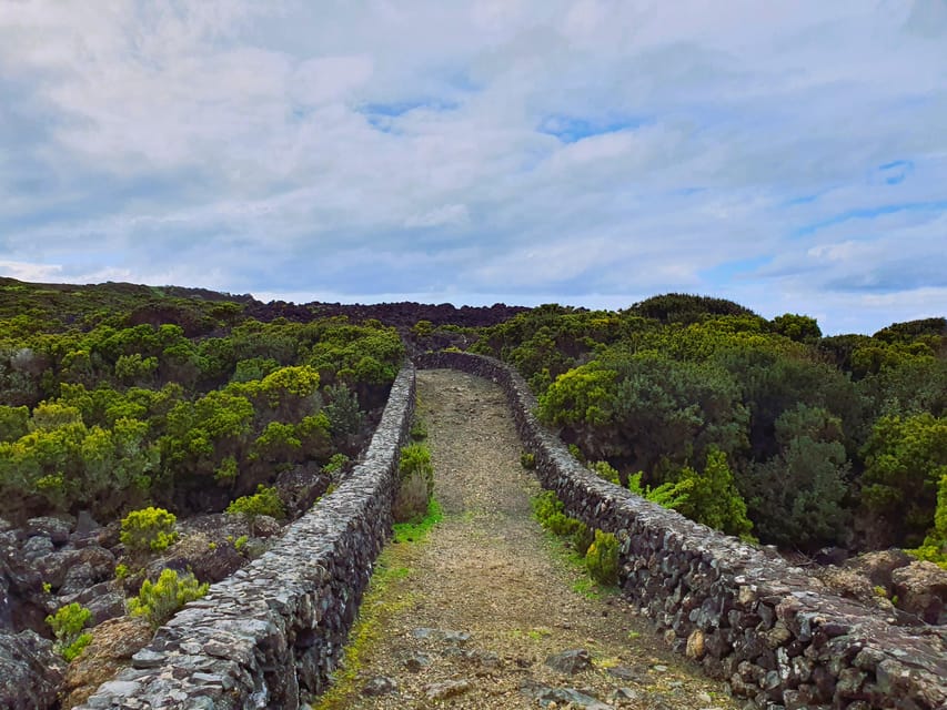 Terceira Island: Baías da Agualva Hike + Picnic + Biscoitos - Key points to know before booking