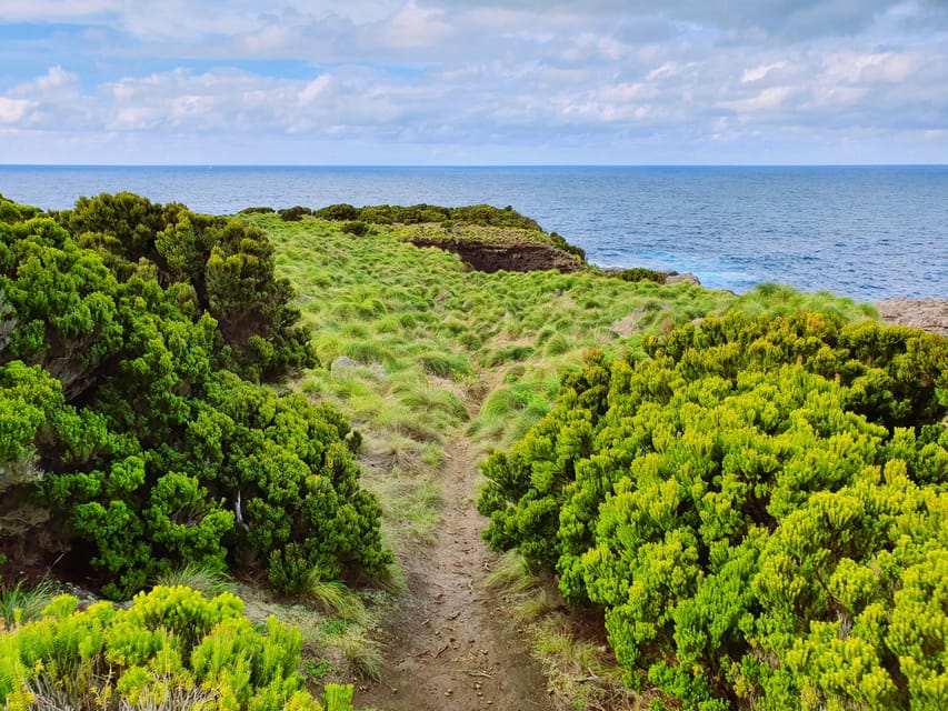 Terceira Island: Baías da Agualva Hike + Picnic + Biscoitos - Biscoitos volcanic pools for the final hour