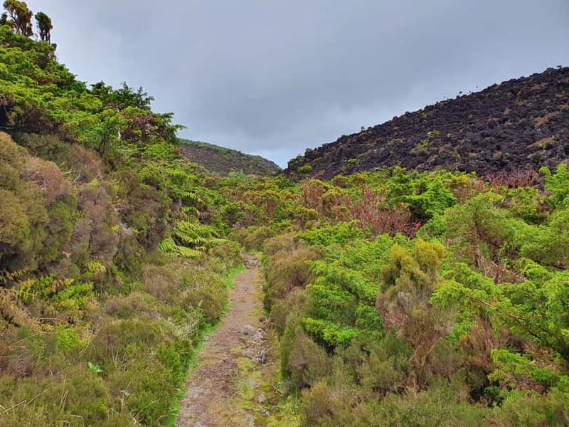 Terceira Island: Mistérios Negros Hike + Picnic + Biscoitos - Key points to know before booking