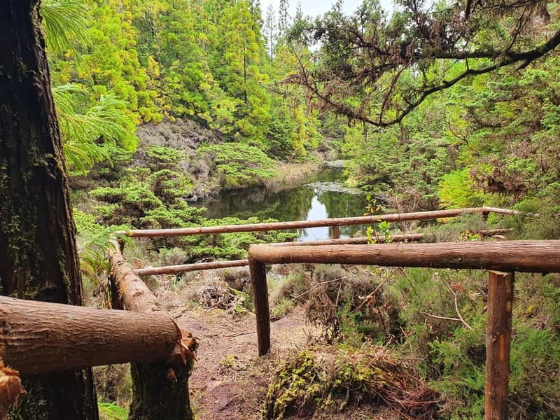 Terceira Island: Mistérios Negros Hike + Picnic + Biscoitos - Why Mistérios Negros is one of Terceira’s best nature walks