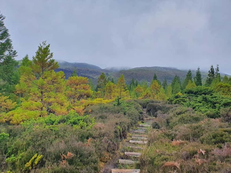 Terceira Island: Mistérios Negros Hike + Picnic + Biscoitos - The picnic is more than a quick packed lunch