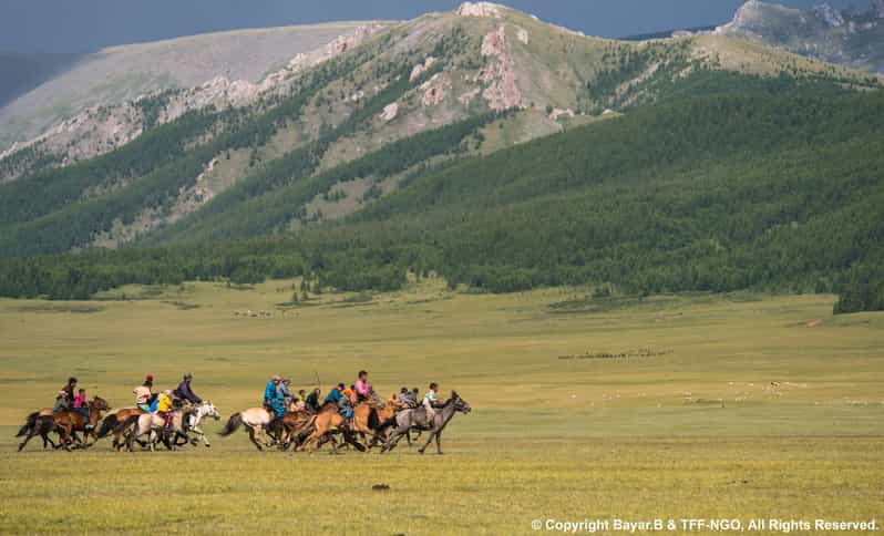 Terelj National Park: Tour with horse riding and hiking - A Mongolian horse ride, with sensible expectations