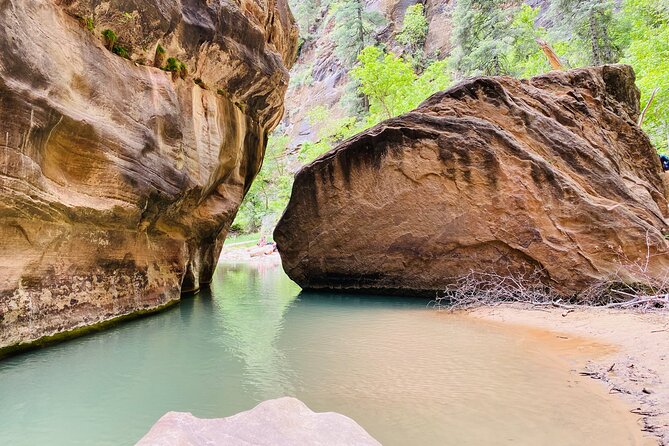 The Narrows: Zion National Park Private Guided Hike - Guide knowledge that adds real value