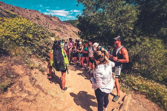 The Volcano Heart Tour: Hiking, Tasting and Sunset Experience - Why this tour gets you beyond Gran Canaria’s beaches