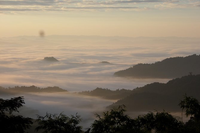 The Wild Explorer - 3 days forest trek with homestay and camping - Day two: long trails and a high forest camp