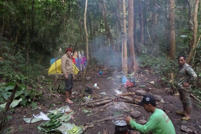 The Wild Explorer - 3 days forest trek with homestay and camping - Day three: one more forest morning before Luang Namtha
