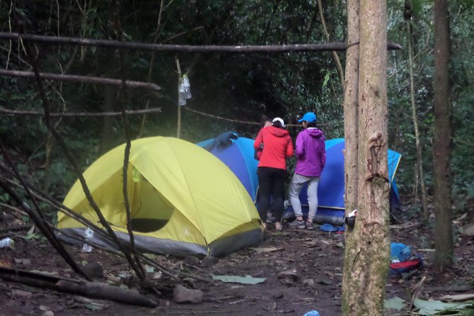 The Wild Explorer - 3 days forest trek with homestay and camping - What you learn beyond the trail