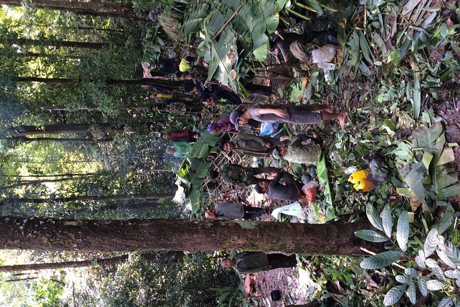 The Wild Explorer - 3 days forest trek with homestay and camping - Day one: leaving Luang Namtha for the forest