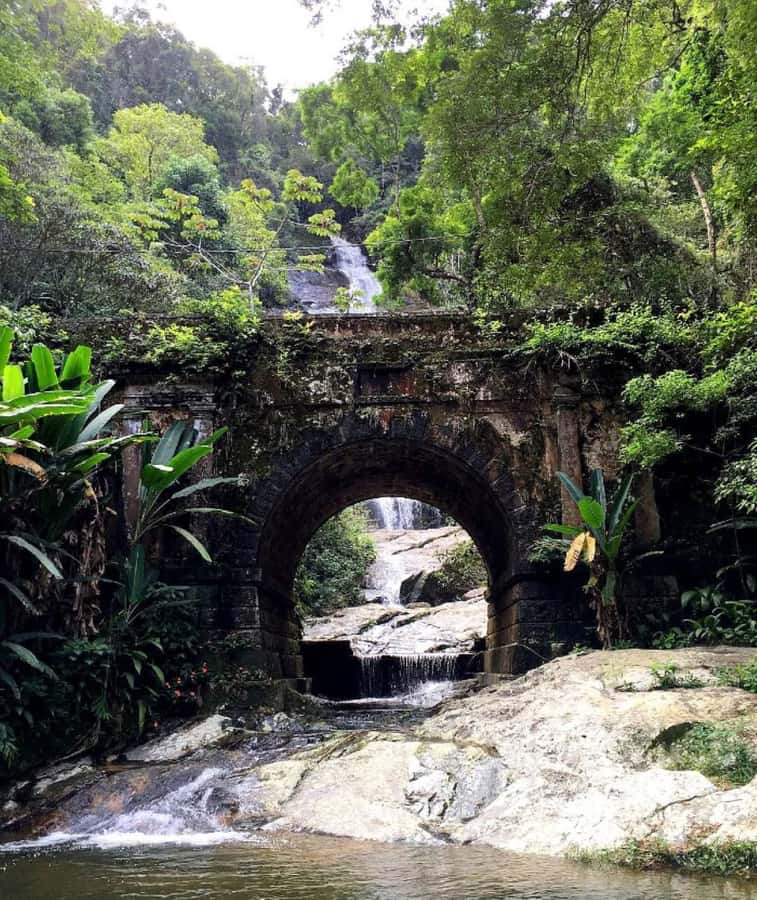 Tijuca Forest´s hike: caves, waterfalls and great views - What to bring for a comfortable four hours