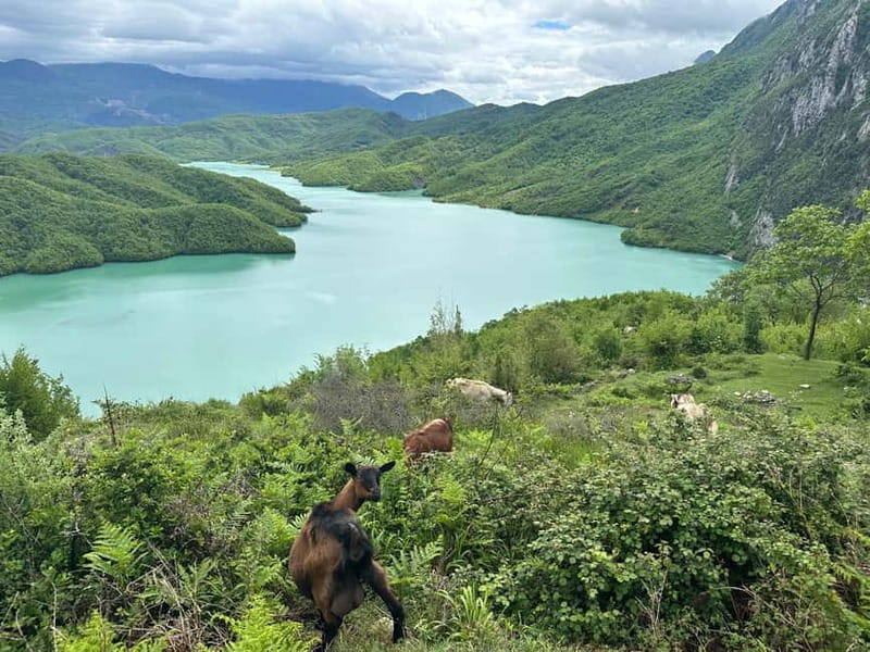 Tirana: Bovilla Lake & Gamti Mountain with SUV, No-Hiking - Reaching Bovilla Lake by vehicle