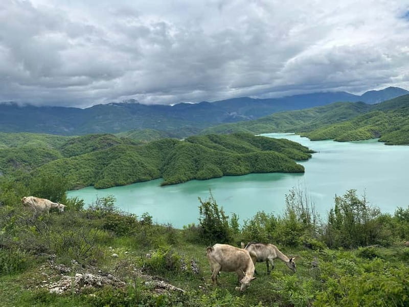 Tirana: Bovilla Lake & Gamti Mountain with SUV, No-Hiking - What to pack for a smoother day