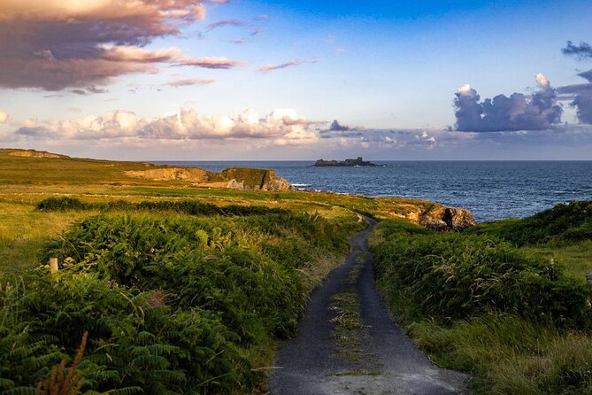 Toe Head Clifftop Hike in West Cork - Key points to know before booking