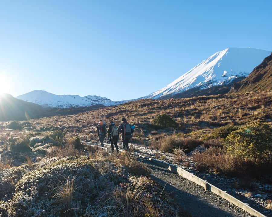Tongariro Alpine Crossing: Premium Guided Hike - Red Crater, Mt. Ngauruhoe, and the hardest part of the day