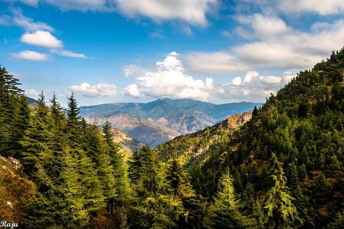 Top Tibba Trek - Mussoorie - Who should book the Top Tibba hike