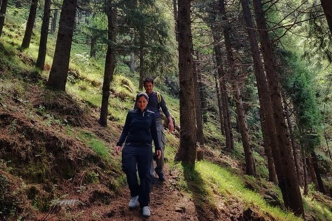 Top Tibba Trek - Mussoorie - Reaching the 8,500-foot summit