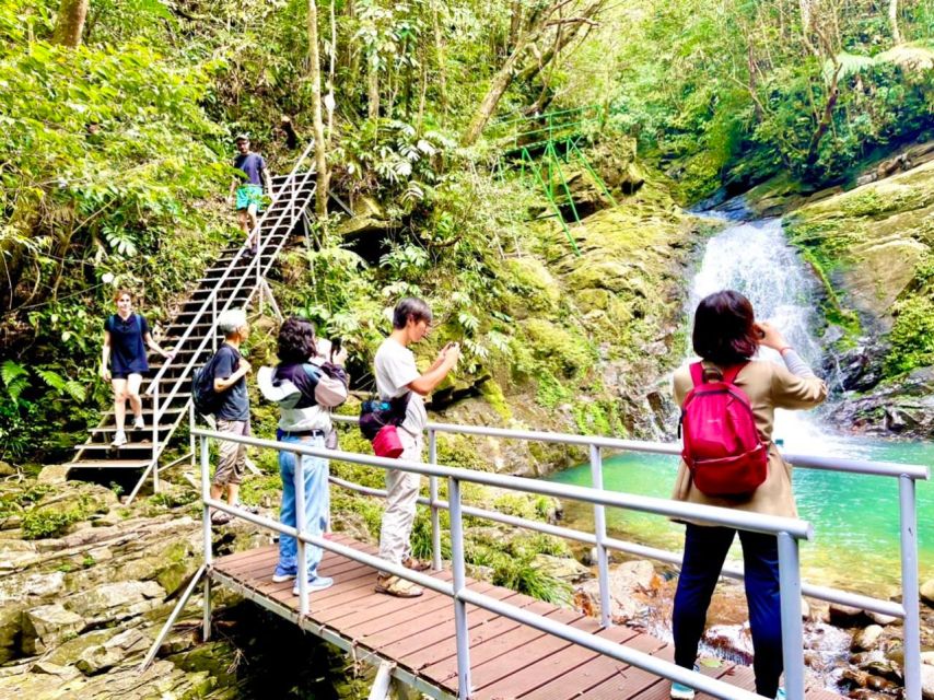 TOUR TREKKING HUE - BACH MA NATIONAL PARK DAILY - From Hue to the 1,450-meter summit