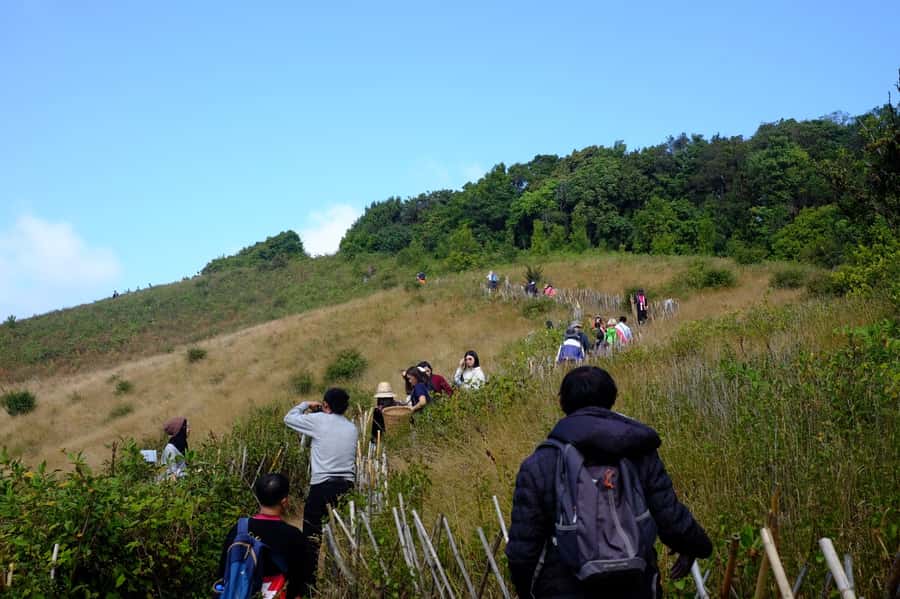 Tour with Hike in Kiew Mae Pan Natural Trail from Chiang Mai - Why Kew Mae Pan is worth the long ride from Chiang Mai