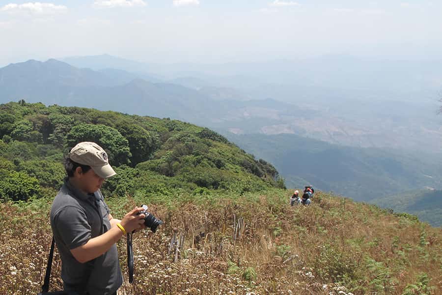 Tour with Hike in Kiew Mae Pan Natural Trail from Chiang Mai - Who should book this Doi Inthanon day trip