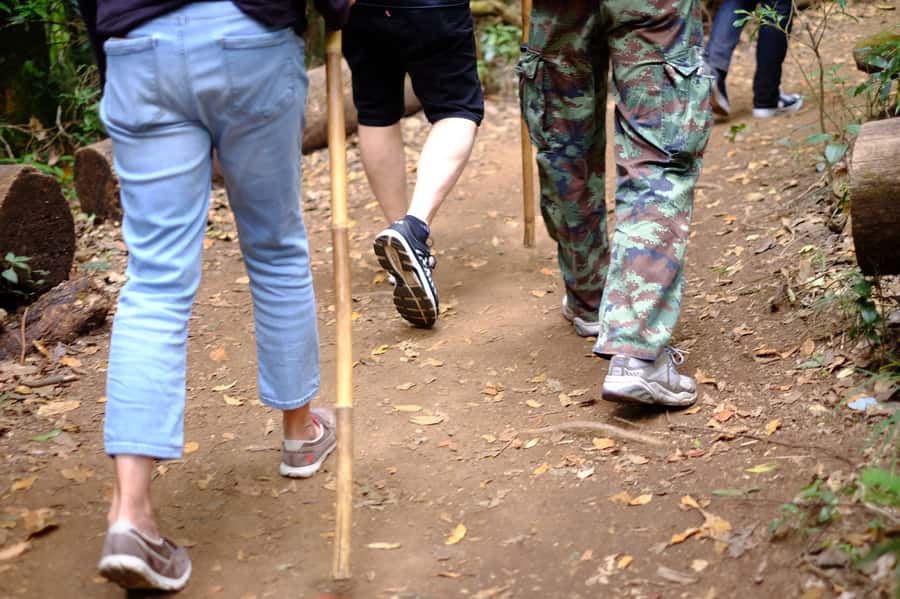Tour with Hike in Kiew Mae Pan Natural Trail from Chiang Mai - Mae Klang Luang adds coffee and Karen village life