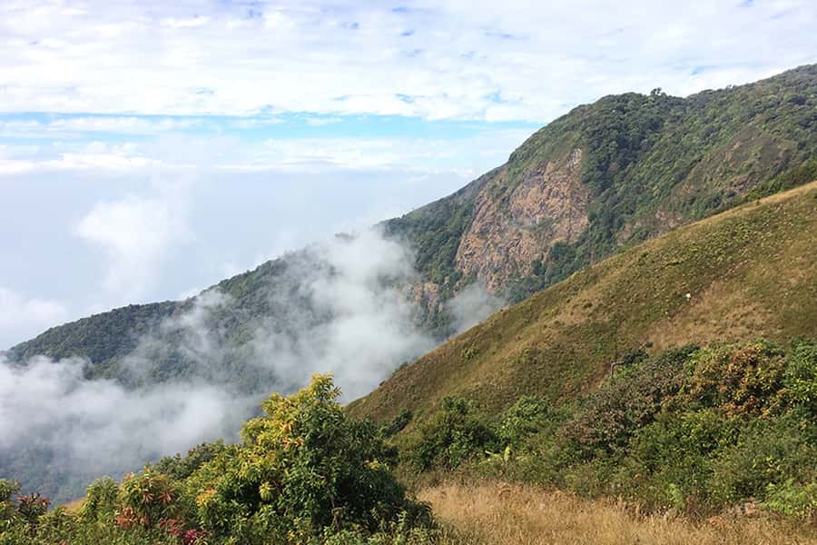 Tour with Hike in Kiew Mae Pan Natural Trail from Chiang Mai - Kew Mae Pan delivers the main walking experience