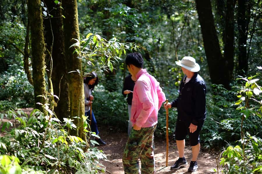 Tour with Hike in Kiew Mae Pan Natural Trail from Chiang Mai - What is included and what you still need to bring
