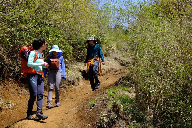 Traverse Outer Rim of Hakone Caldera and Enjoy Onsen Hiking Tour - An indoor and outdoor onsen to finish