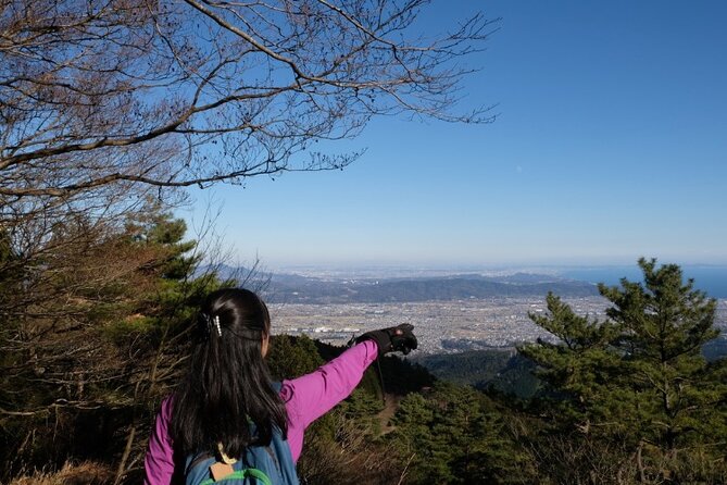 Traverse Outer Rim of Hakone Caldera and Enjoy Onsen Hiking Tour - Is $158.13 a fair price?
