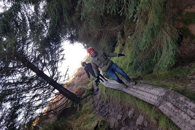 Trek the Tombs and Trails in the Dublin Mountains - Wild berries and the changing seasons