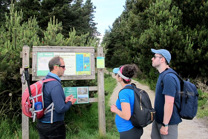 Trek the Tombs and Trails in the Dublin Mountains - The Hazel House, local food, and a country pint