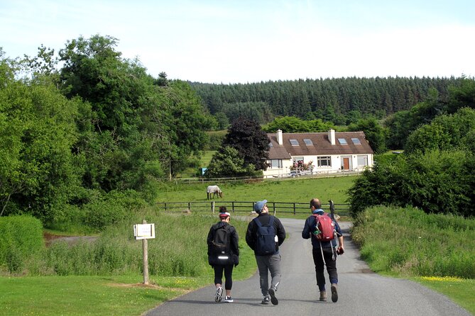Trek the Tombs and Trails in the Dublin Mountains - Group size, guide, and the walking pace