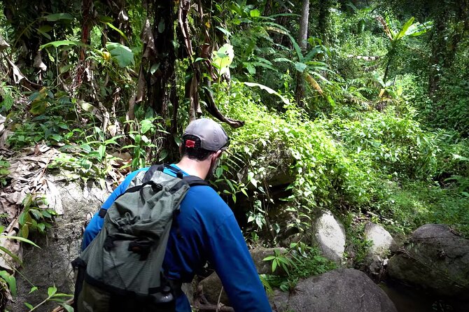 Trek to a Jungle Waterfall - Starting at 8Adventures Camp at 8:00 am