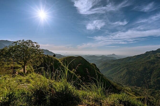 Trek to Little Adam's Peak and Nine Arches Bridge In Ella - Walking through woodland to Nine Arches Bridge