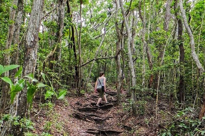 Trek Tours Hiking Experience in Antigua - Who should book Trek Tours