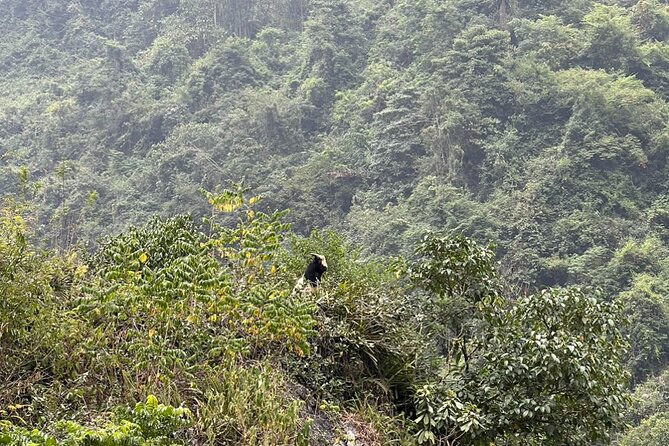 Trekking Ban Gioc Waterfall to Hidden Village on Unique Route - Why this Ban Gioc route is more than a waterfall stop