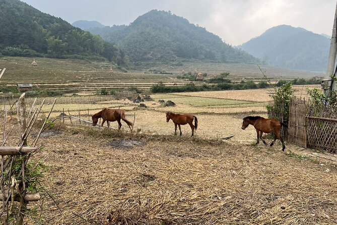 Trekking Ban Gioc Waterfall to Hidden Village on Unique Route - What the guide and group size add
