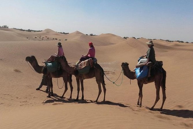 Trekking in Morocco / Atlas Mountains and Sahara Trek (5days) - Day Five: Desert Sunrise and the Long Return to Marrakech