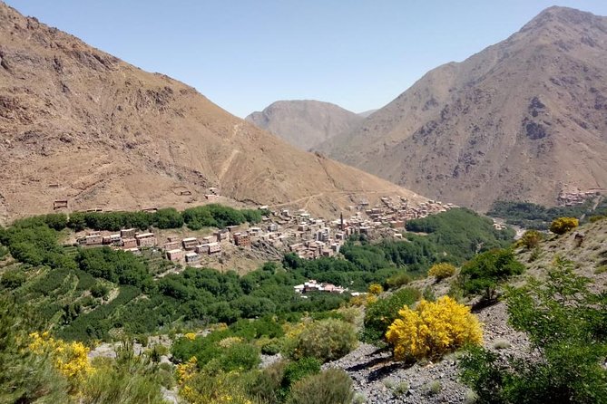 Trekking in Morocco / Atlas Mountains and Sahara Trek (5days) - Guides, Group Size, and the Local Feel