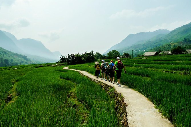 Trekking Through Rice Terraced Fields - 1Day - Why this Sapa trek is worth your day