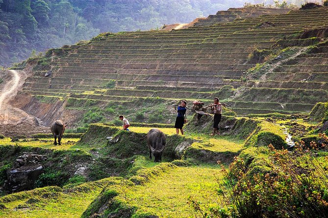 Trekking Through Rice Terraced Fields - 1Day - Lunch before the final walk to Ta Van