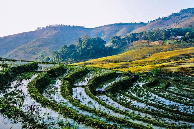 Trekking Through Rice Terraced Fields - 1Day - How difficult is the 5 to 6 hour walk?