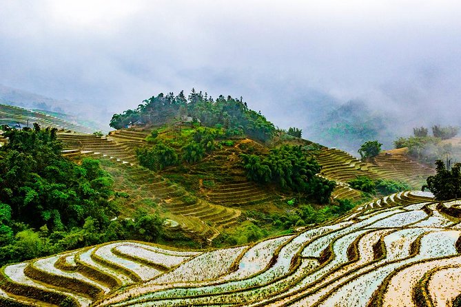 Trekking Through Rice Terraced Fields - 1Day - Group size, guides, and the human side of the tour