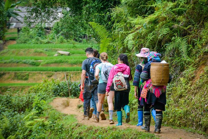 Trekking Through Rice Terraced Fields - 1Day - Is $45 good value for Sapa?