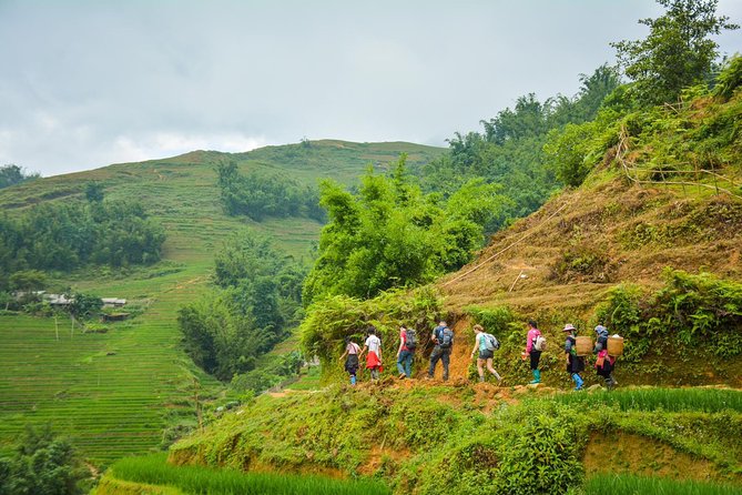 Trekking Through Rice Terraced Fields - 1Day - Starting from Sapa and reaching Y Linh Ho